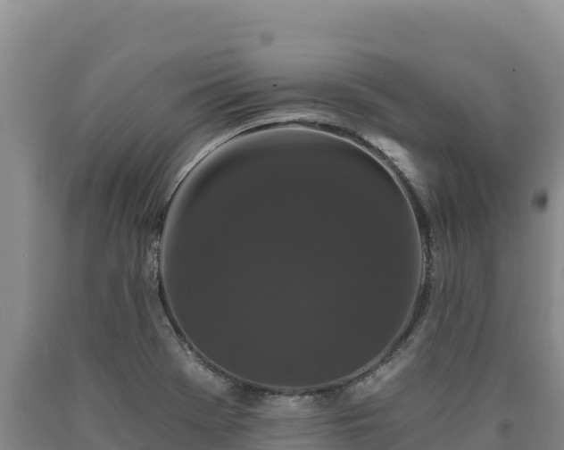 X0000090721369200707271143