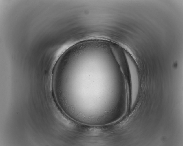 X0000090721371200707271143