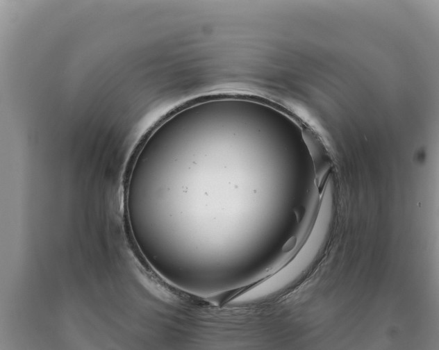 X0000090721372200707271143