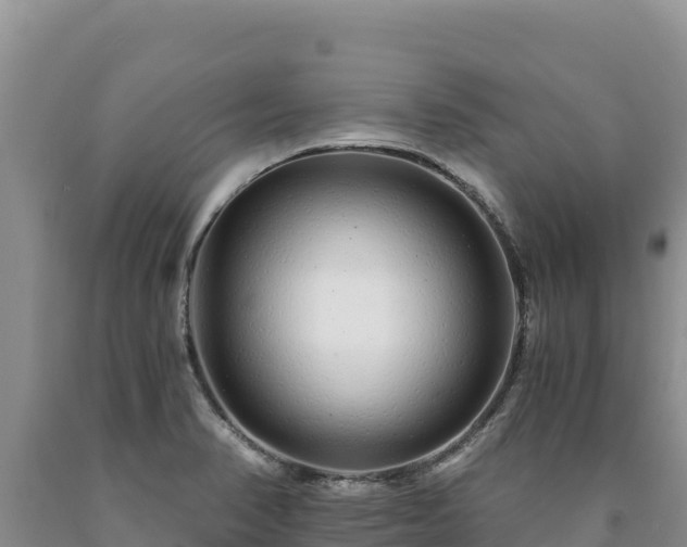 X0000090721374200707271143