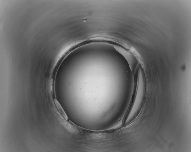 X0000090721376200707271143