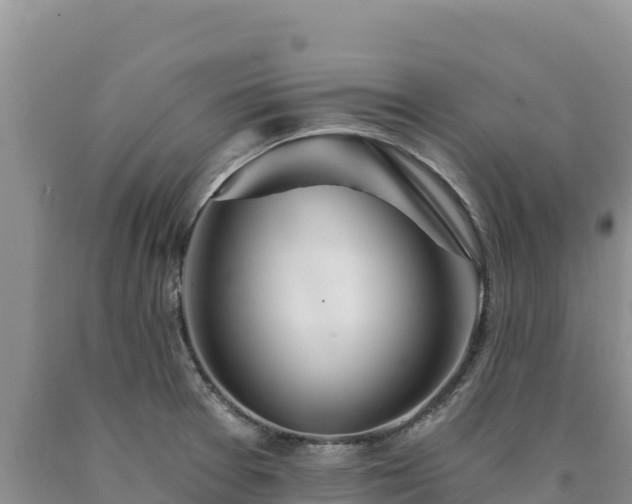 X0000090721377200707271143