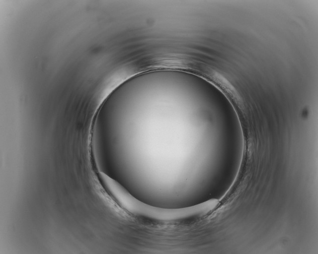 X0000090721378200707271143