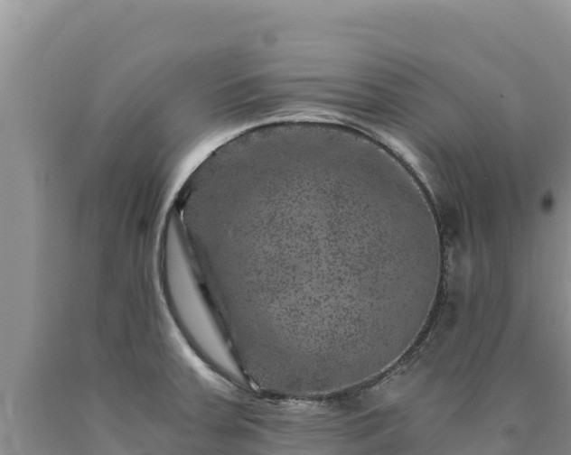 X0000090721379200707271143