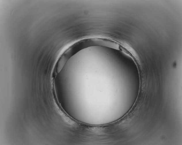 X0000090721380200707271143