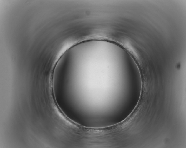 X0000090721382200707271143