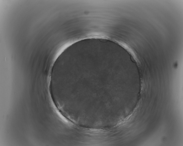 X0000090721383200707271143