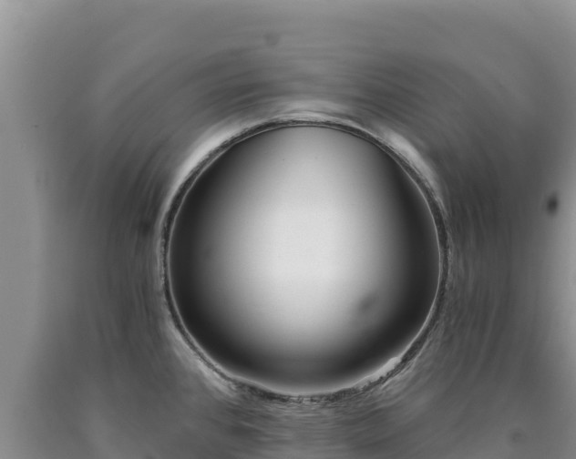 X0000090721384200707271143