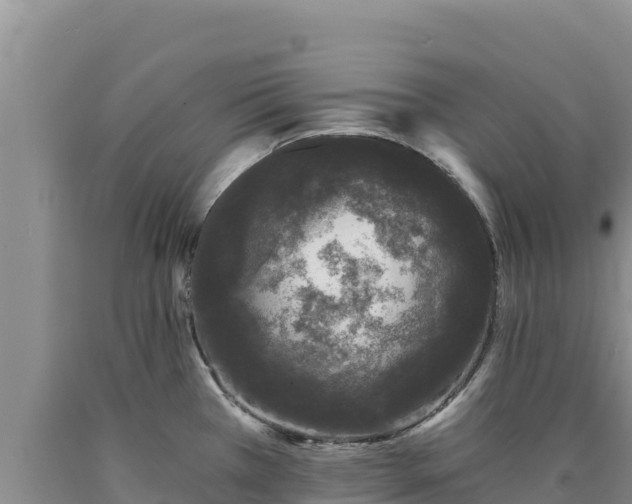 X0000090721385200707271143