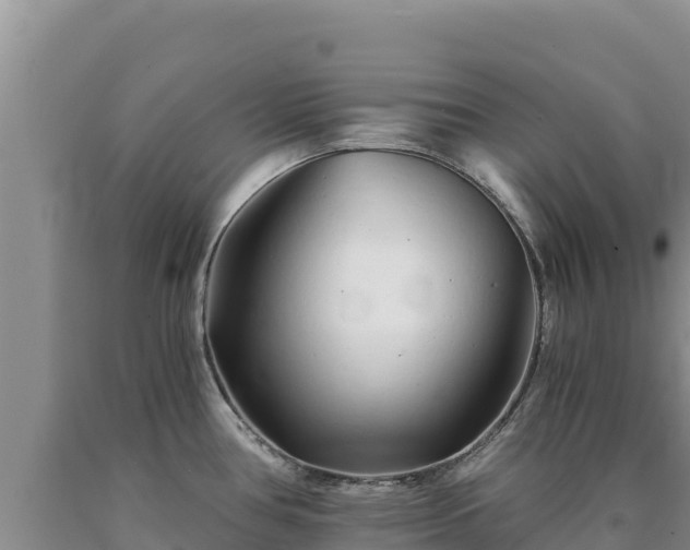 X0000090721386200707271143