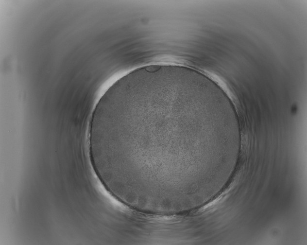 X0000090721387200707271143