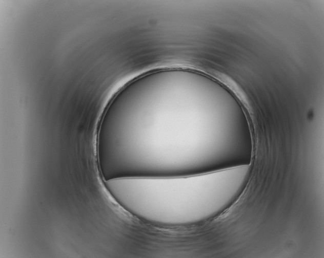X0000090721388200707271143