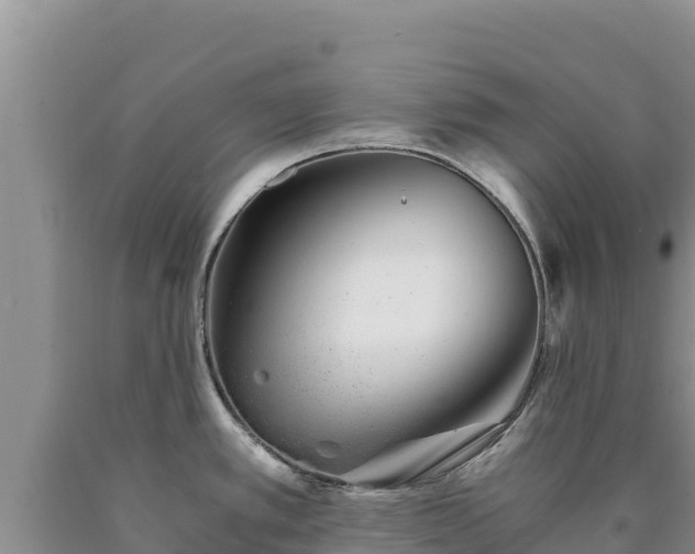X0000090721389200707271143