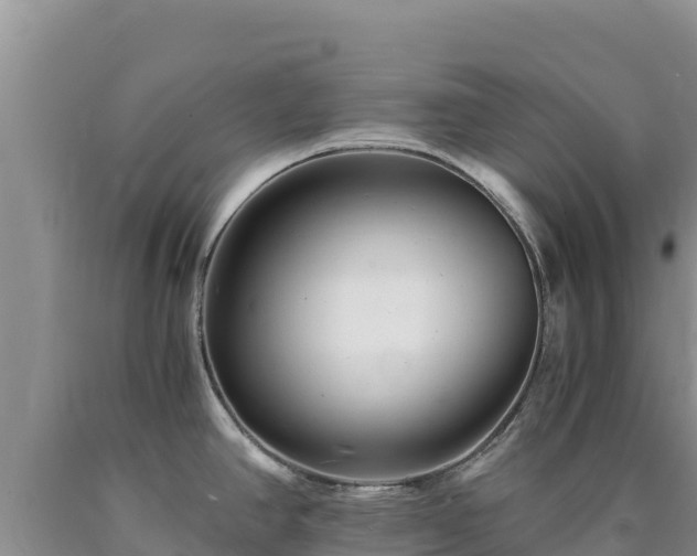 X0000090721390200707271143