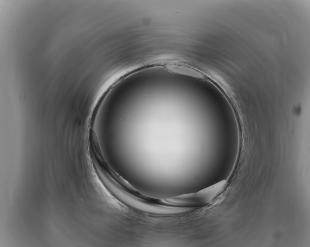 X0000090721392200707271143