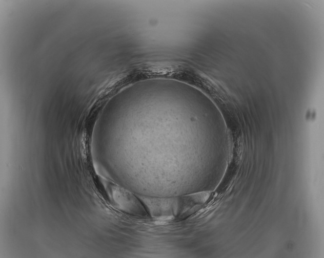 X0000090721394200707271142