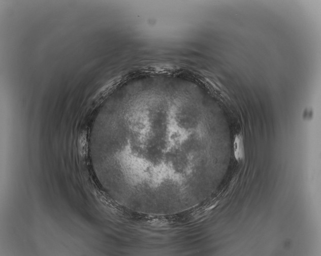 X0000090721395200707271142