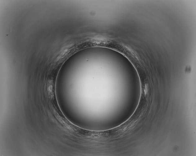 X0000090721396200707271142