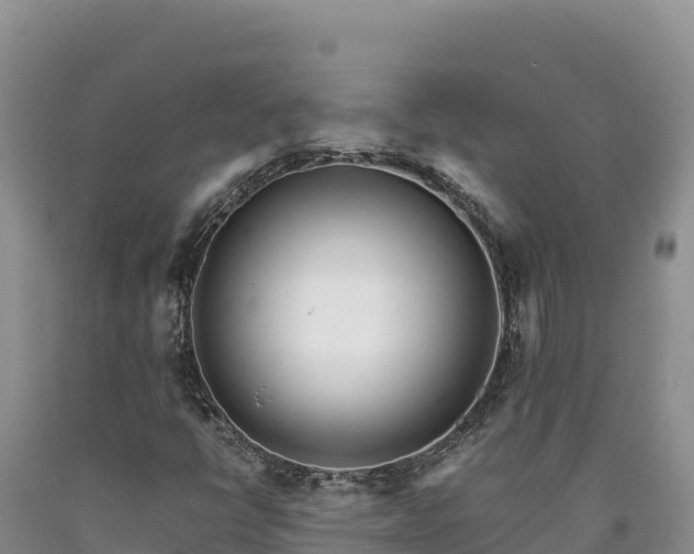 X0000090721398200707271142
