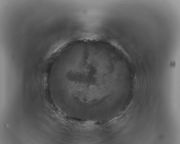 X0000090721399200707271142