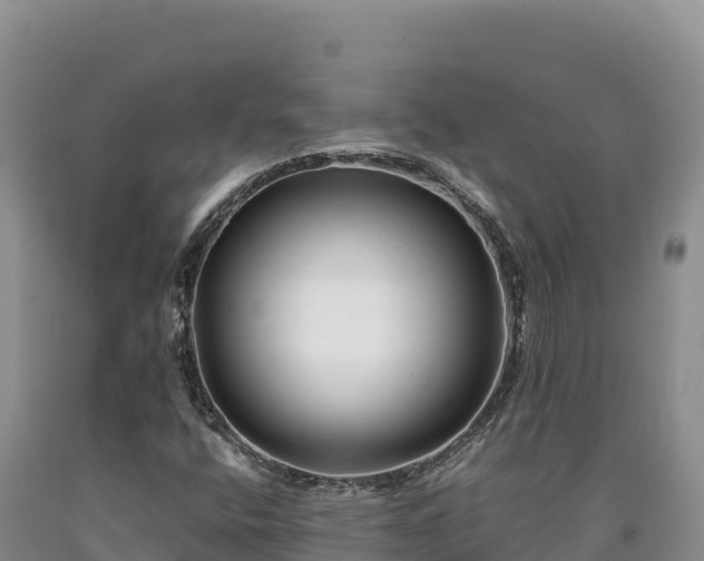 X0000090721400200707271142