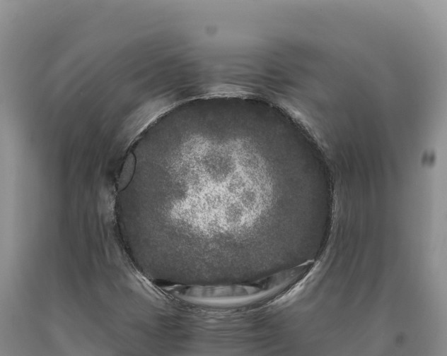 X0000090721401200707271142