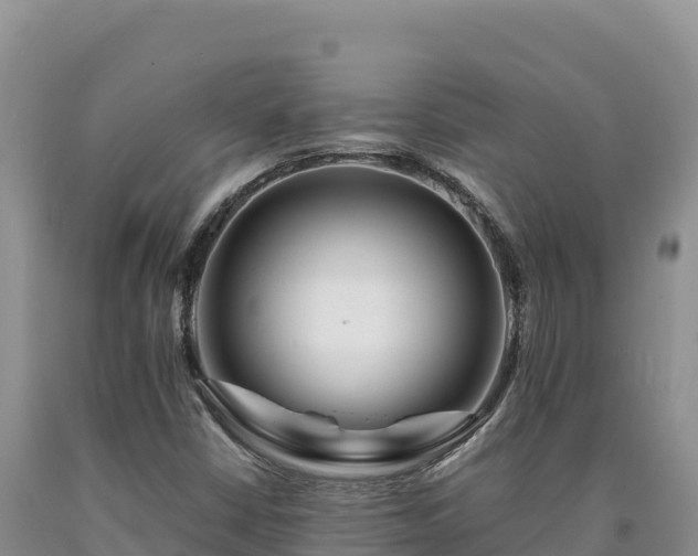 X0000090721402200707271142