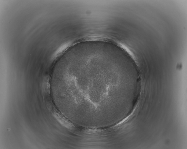 X0000090721403200707271142