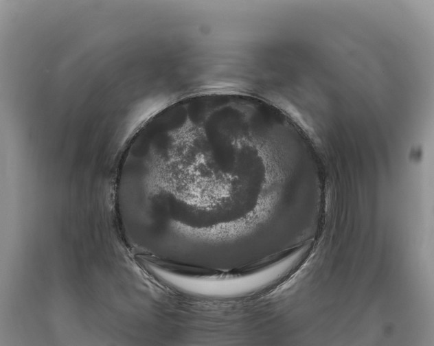 X0000090721405200707271142