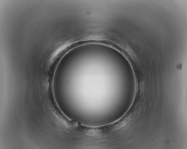 X0000090721406200707271142