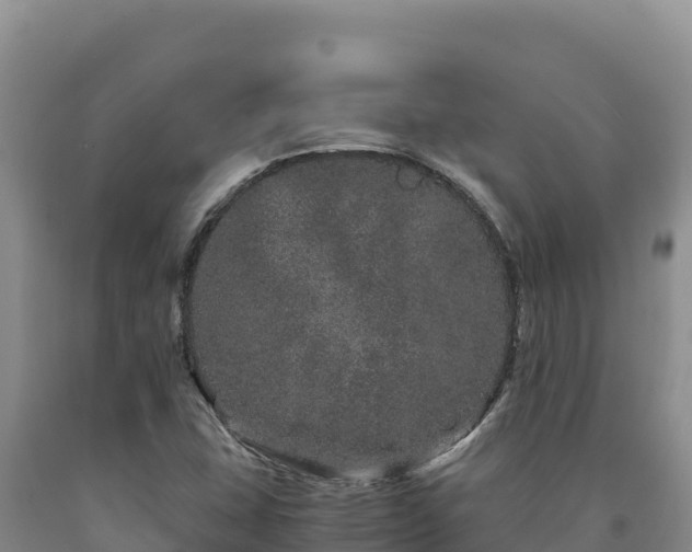 X0000090721407200707271142