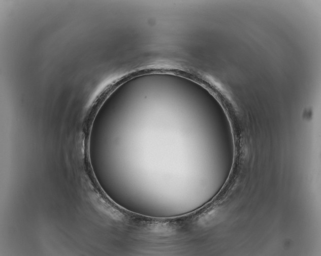 X0000090721408200707271142