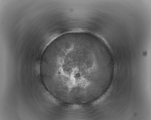X0000090721409200707271143