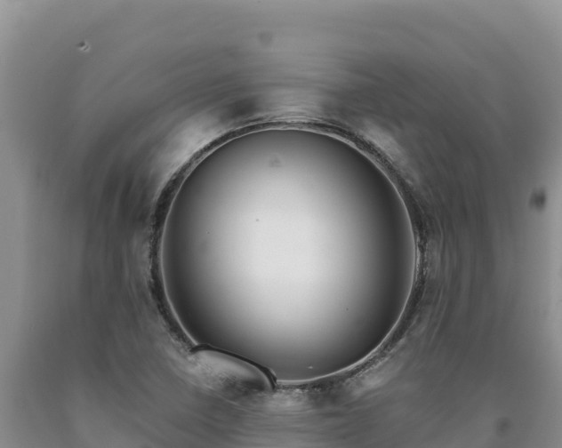 X0000090721410200707271143