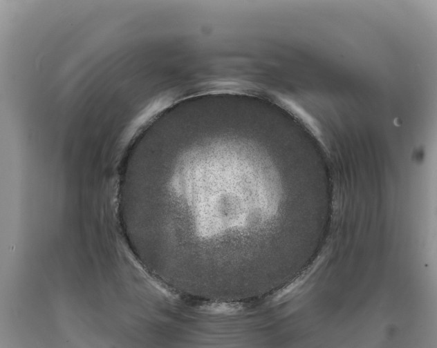 X0000090721411200707271143