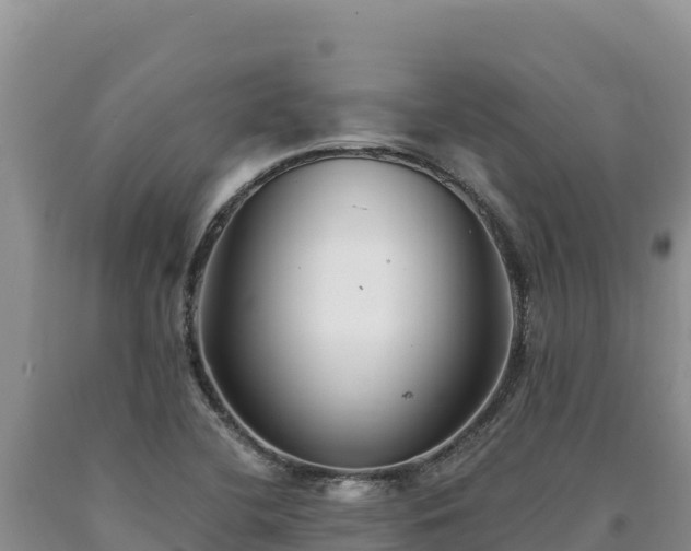 X0000090721412200707271143
