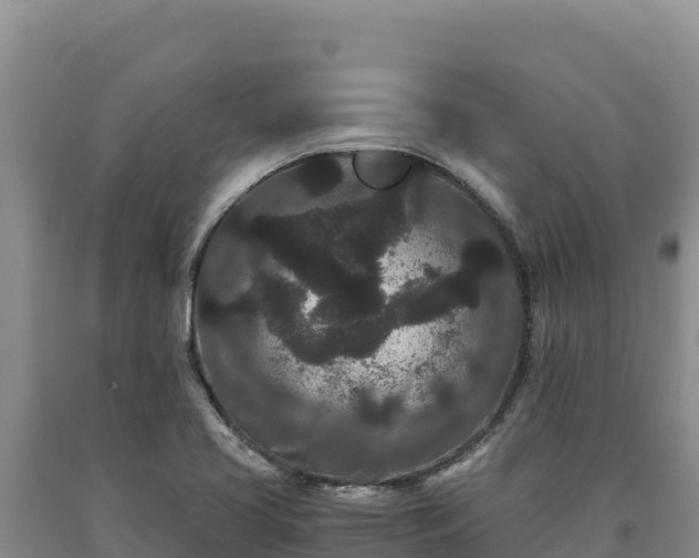 X0000090721413200707271143