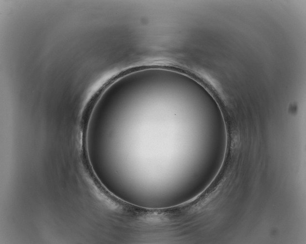 X0000090721414200707271143