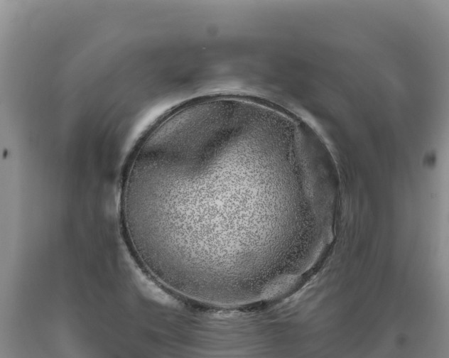 X0000090721416200707271143