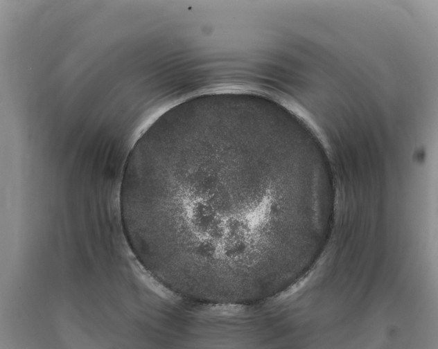 X0000090721417200707271143