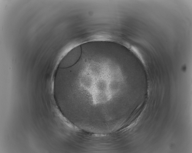 X0000090721419200707271143