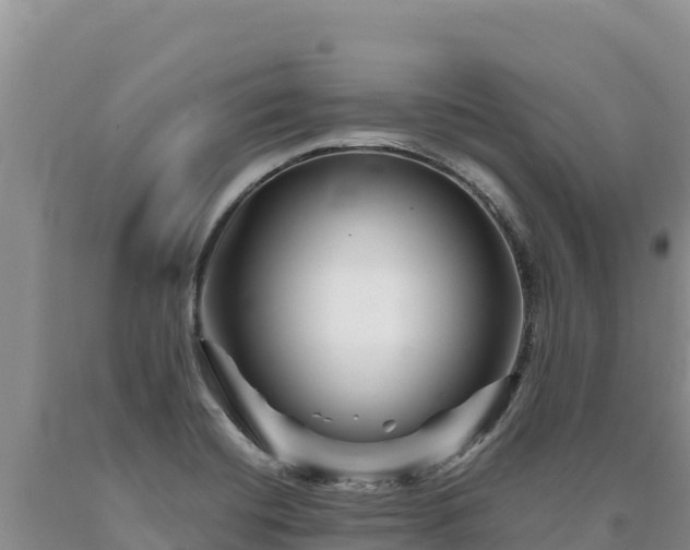 X0000090721420200707271143