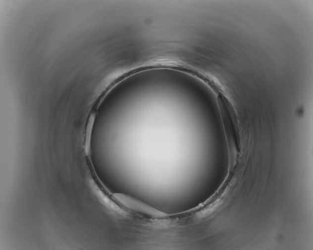 X0000090721422200707271143