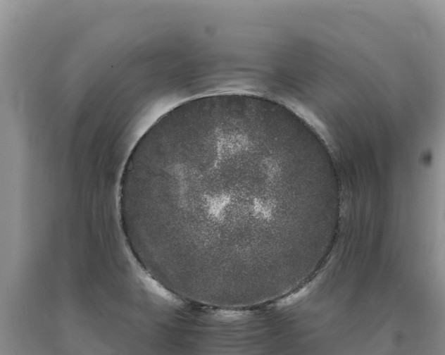 X0000090721423200707271143