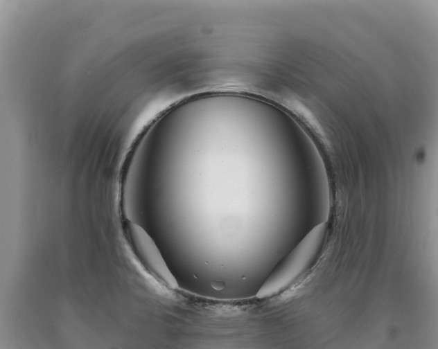 X0000090721424200707271143