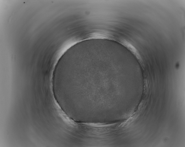 X0000090721427200707271143
