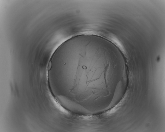 X0000090721428200707271143