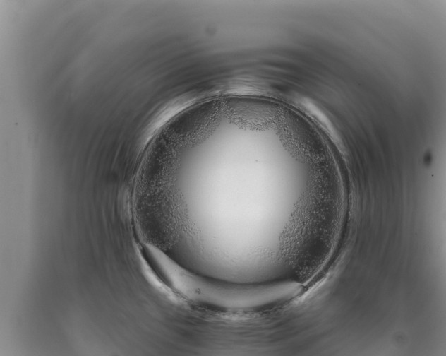 X0000090721433200707271143