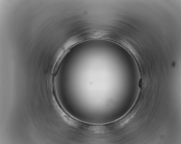 X0000090721434200707271143