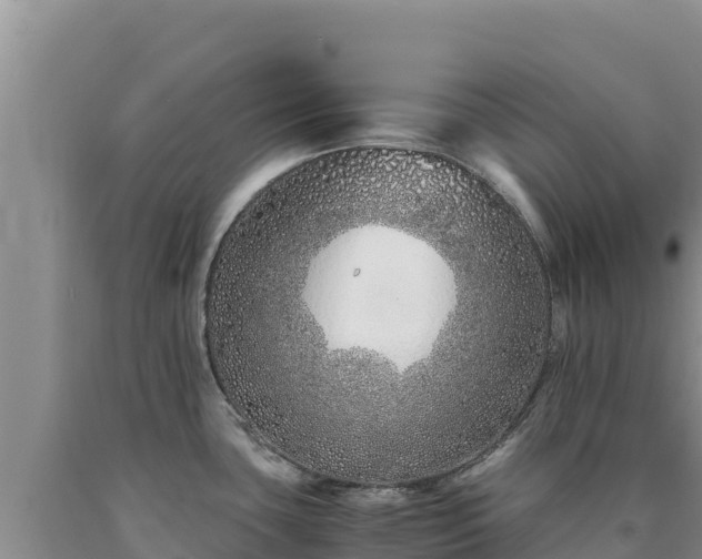 X0000090721435200707271143